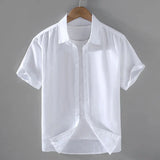 Camisa de Linho Masculina Borenzi BZ796